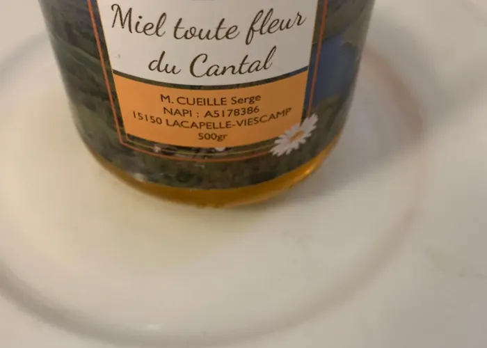 Du Lacapelle-Viescamp