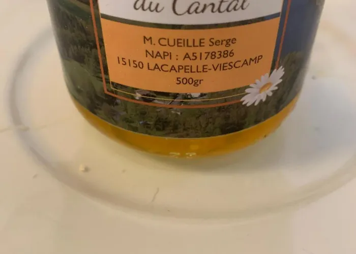 Du Lacapelle-Viescamp