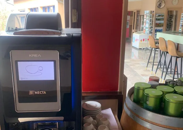 Du Lacapelle-Viescamp